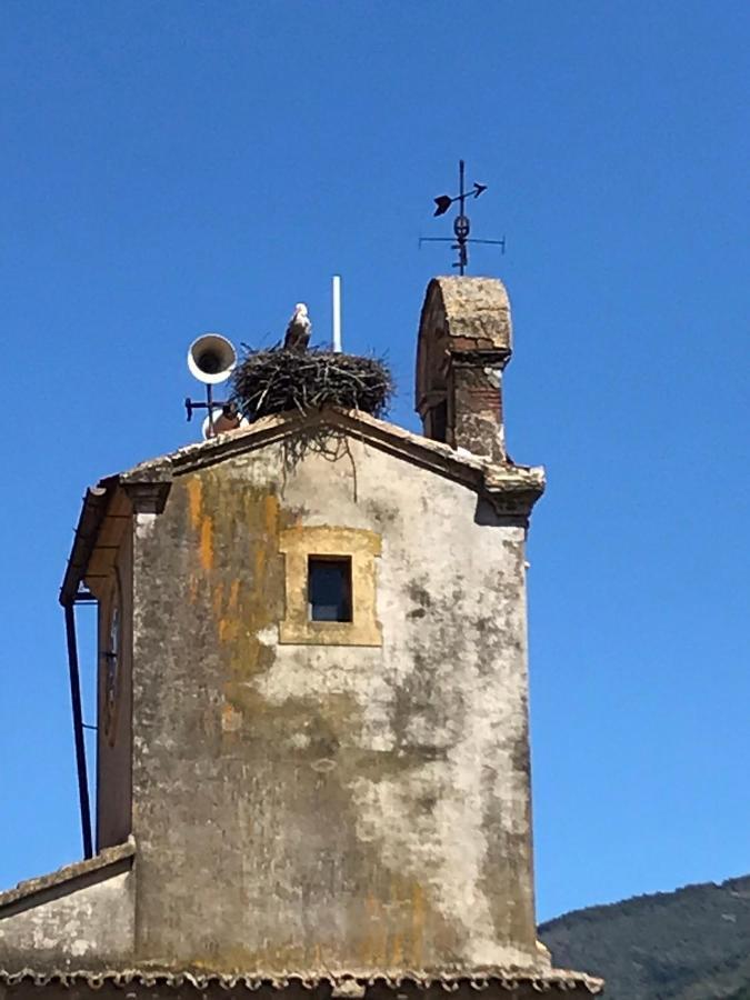 La Gargantilla Jerte Εξωτερικό φωτογραφία