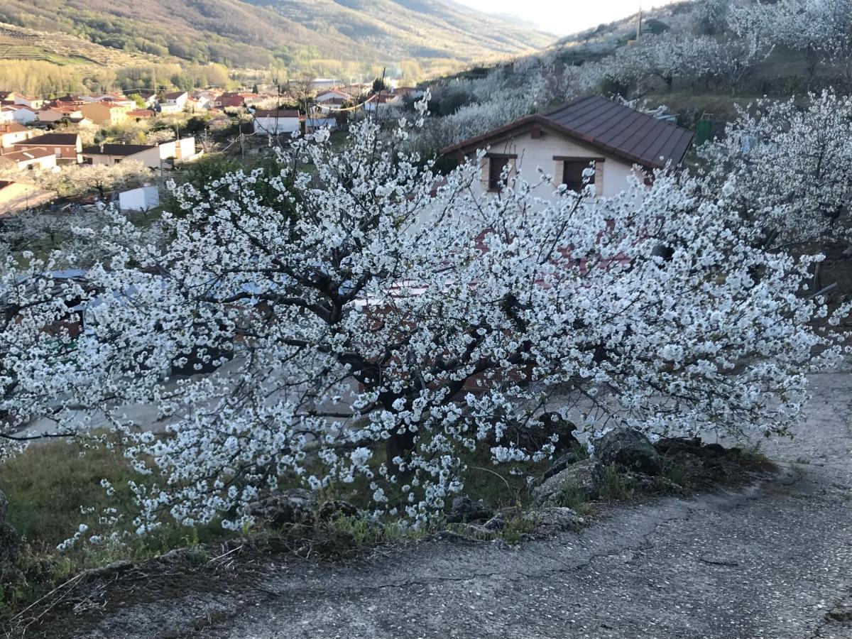 La Gargantilla Jerte Εξωτερικό φωτογραφία