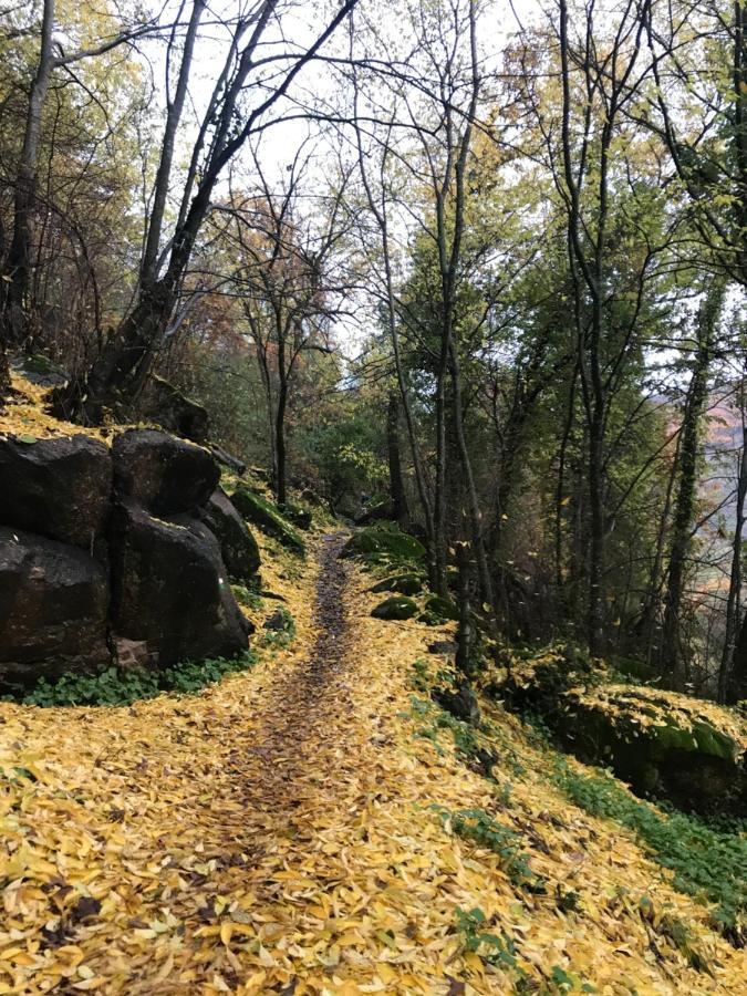 La Gargantilla Jerte Εξωτερικό φωτογραφία